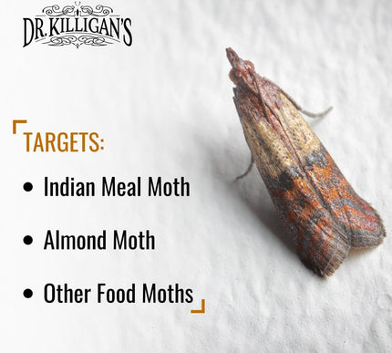 Product Image 4 - Dr Killigans Premium D