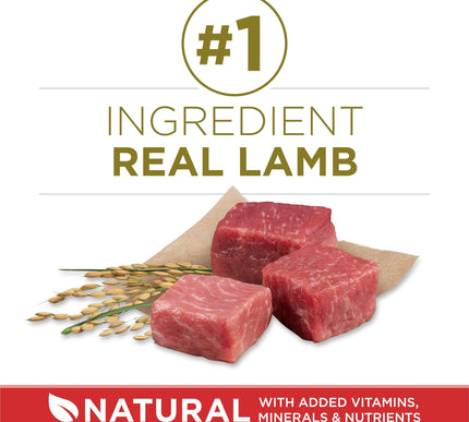 Product Image 3 - Purina ONE Dry Dog Foo