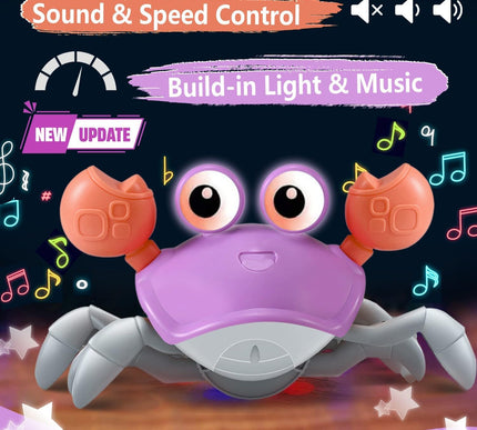 Product Image 4 - Purple Crawling Crab B