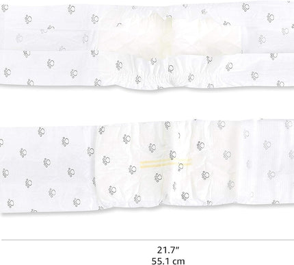 Product Image 5 - Amazon Basics Male Dog