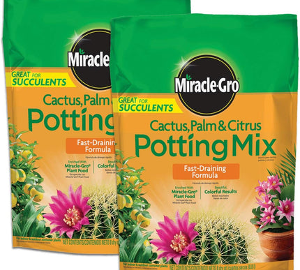 Product Image 1 - MiracleGro Cactus Palm