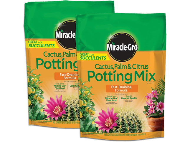 Product Image 1 - MiracleGro Cactus Palm