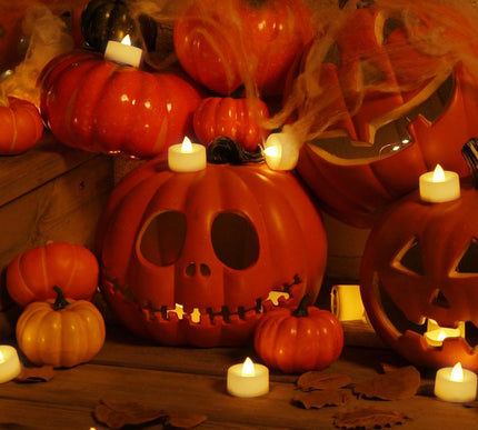 Product Image 4 - Homemory 24Pack Flamel