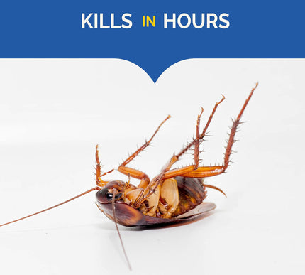 Product Image 6 - Hot Shot Liquid Roach 