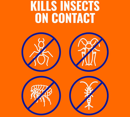 Product Image 5 - TERRO Ant Killer Plus 