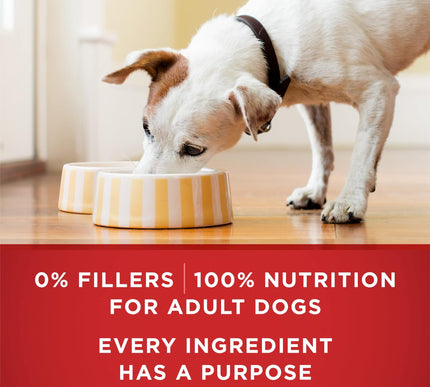 Product Image 5 - Purina ONE Classic Gro