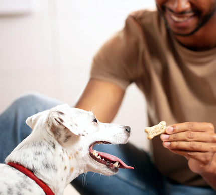 Product Image 6 - Milk-Bone Original Dog