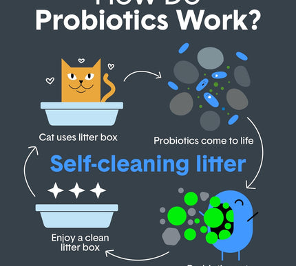Product Image 5 - Boxie Probiotic Cat Li