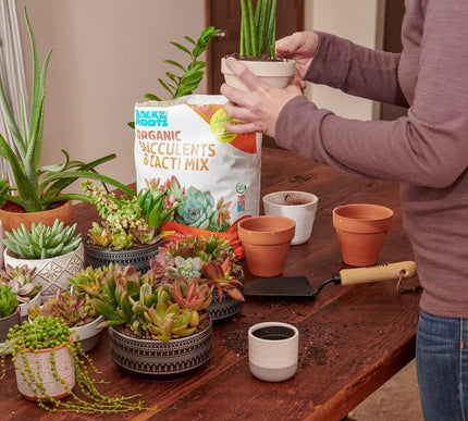 Product Image 7 - Back to the Roots 100 