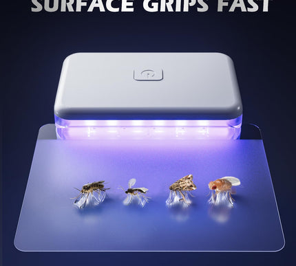 Product Image 6 - LFSYS Fruit Fly Traps 