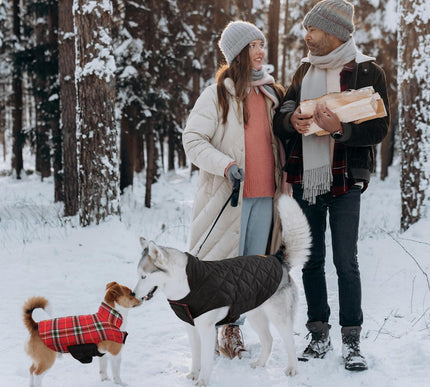 Product Image 7 - Kuoser Waterproof Dog 