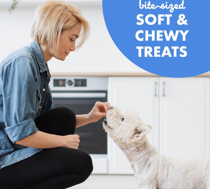 Product Image 7 - Buddy Biscuits Trainer