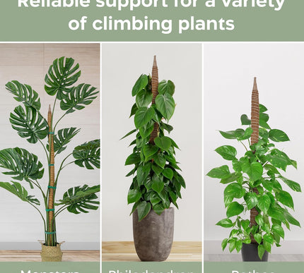 Product Image 6 - 2 Pack 48 Bendable Mos