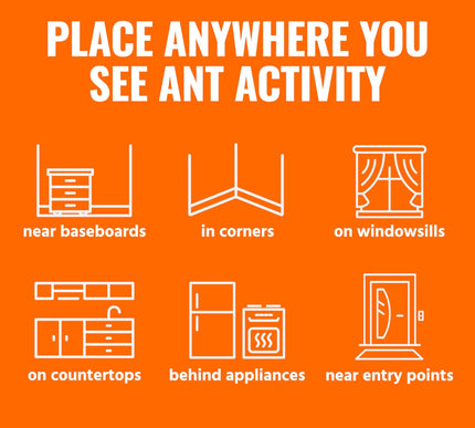 Product Image 7 - TERRO Ant Killer Bait 