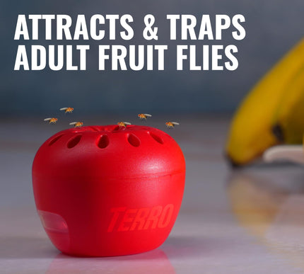 Product Image 2 - TERRO Fruit Fly Traps 