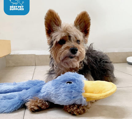 Product Image 5 - Best Pet Supplies Inte