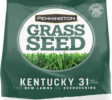 Product Image 1 - Pennington Kentucky 31