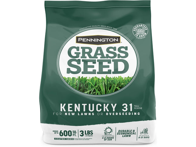 Product Image 1 - Pennington Kentucky 31