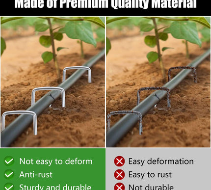 Product Image 5 - FEED GARDEN 6 Inch 50 