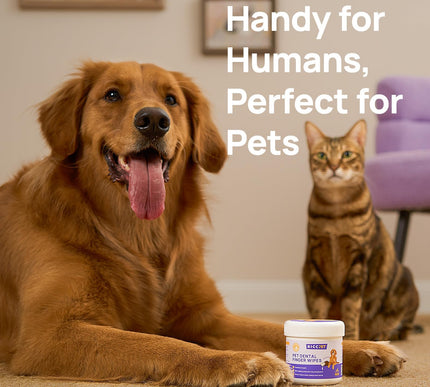 Product Image 7 - HICC PET Teeth Cleanin