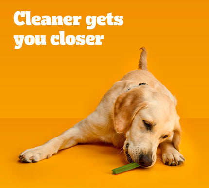 Product Image 6 - Pedigree Dentastix Lar