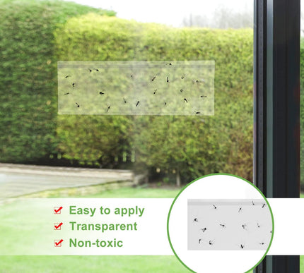 Product Image 5 - LFSYS 50 Pack Window F