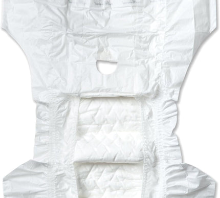 Product Image 3 - Paw Inspired 32ct Disp