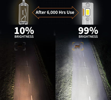 Product Image 8 - Termitor Latest H7/H7L