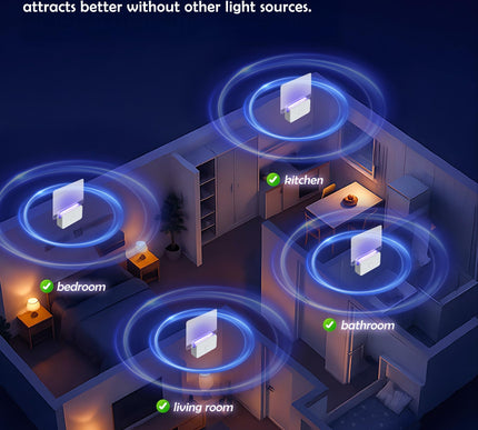 Product Image 5 - LFSYS Fruit Fly Traps 
