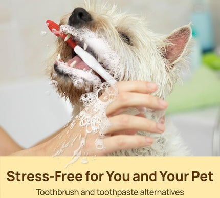 Product Image 6 - HICC PET Teeth Cleanin