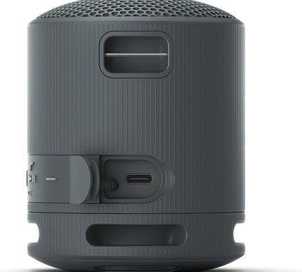 Product Image 8 - Sony SRSXB100 Wireless