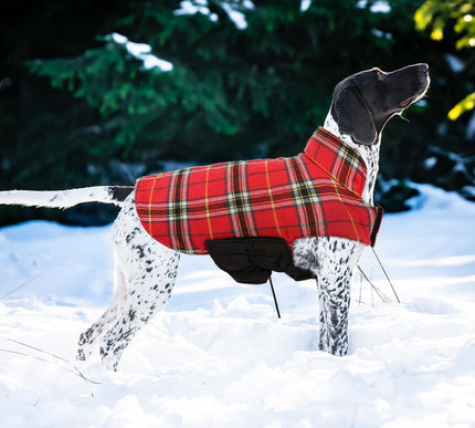 Product Image 6 - Kuoser Waterproof Dog 