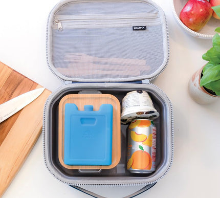 Product Image 8 - Igloo Small Maxcold 4 