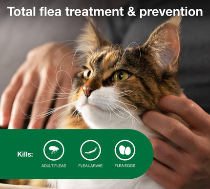 Product Image 3 - Advantage II Large Cat