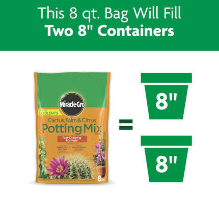 Product Image 6 - MiracleGro Cactus Palm