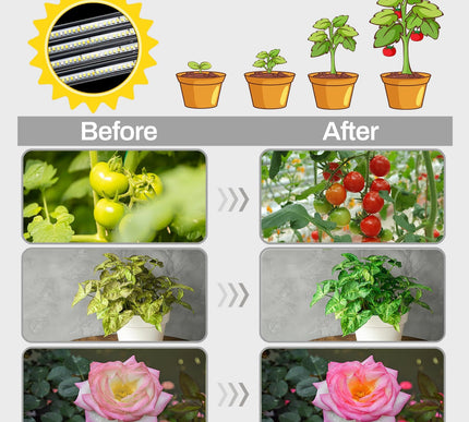 Product Image 6 - LEOTER Grow Lights for