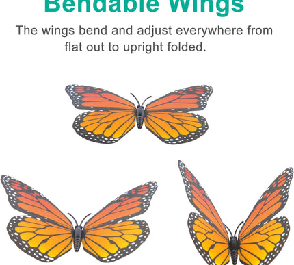 Product Image 4 - Yzurbu 24pcs Monarch B