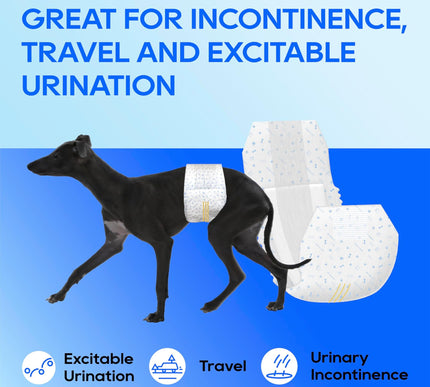 Product Image 7 - HONEY CARE All-Absorb 