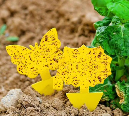 Product Image 2 - Cleanuper 58 Pcs Flyin