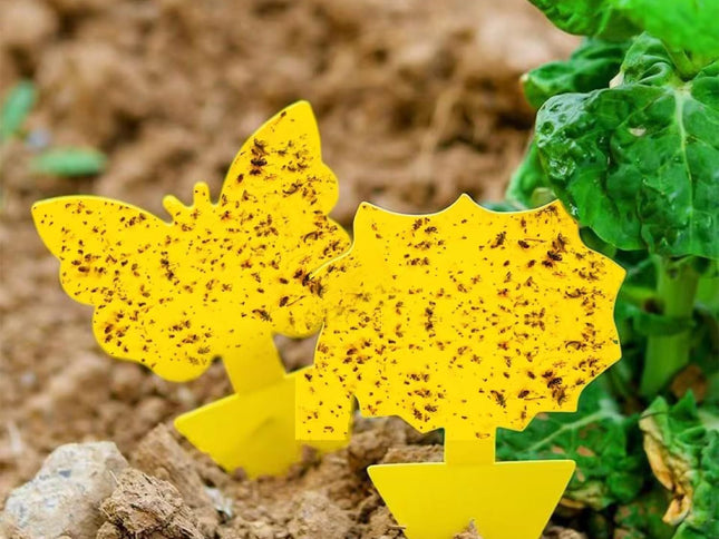 Product Image 2 - Cleanuper 58 Pcs Flyin