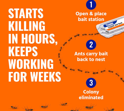Product Image 6 - TERRO Ant Killer Bait 
