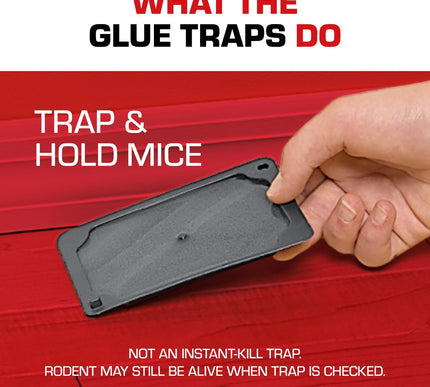 Product Image 7 - Tomcat Mouse Trap with