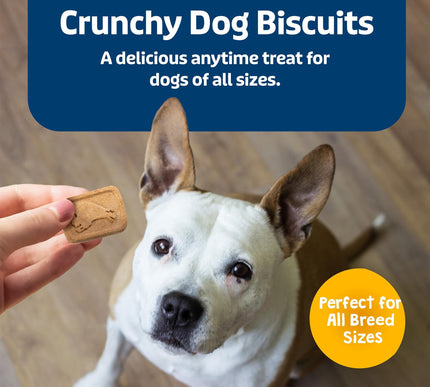 Product Image 4 - Blue Buffalo Health Ba