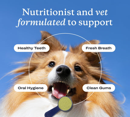 Product Image 5 - PetLab Co. ProBright D