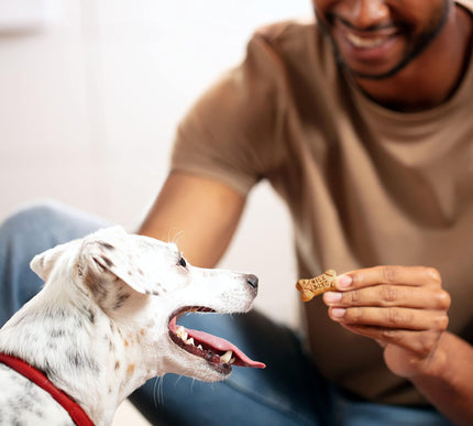 Product Image 6 - Milk-Bone Mini's Flavo