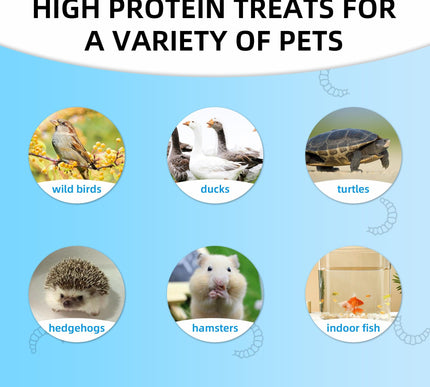 Product Image 6 - I LOVE WORMS Dried Bla