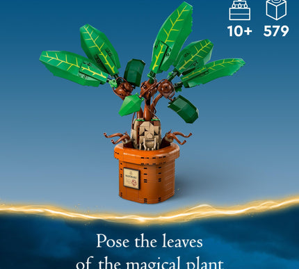 Product Image 4 - LEGO Harry Potter Mand