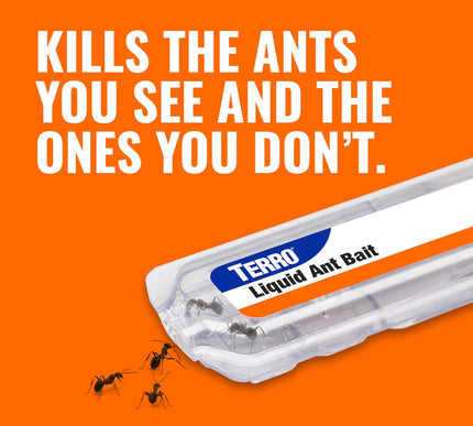 Product Image 4 - TERRO Ant Killer Bait 