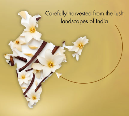 Product Image 8 - Majestic Pure Essentia