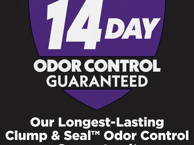 Product Image 2 - ARM & HAMMER Clump & S